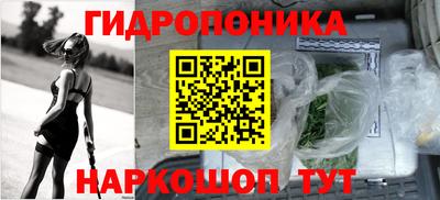 дмт Сланцы