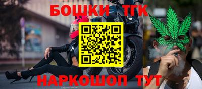 дмт Сланцы